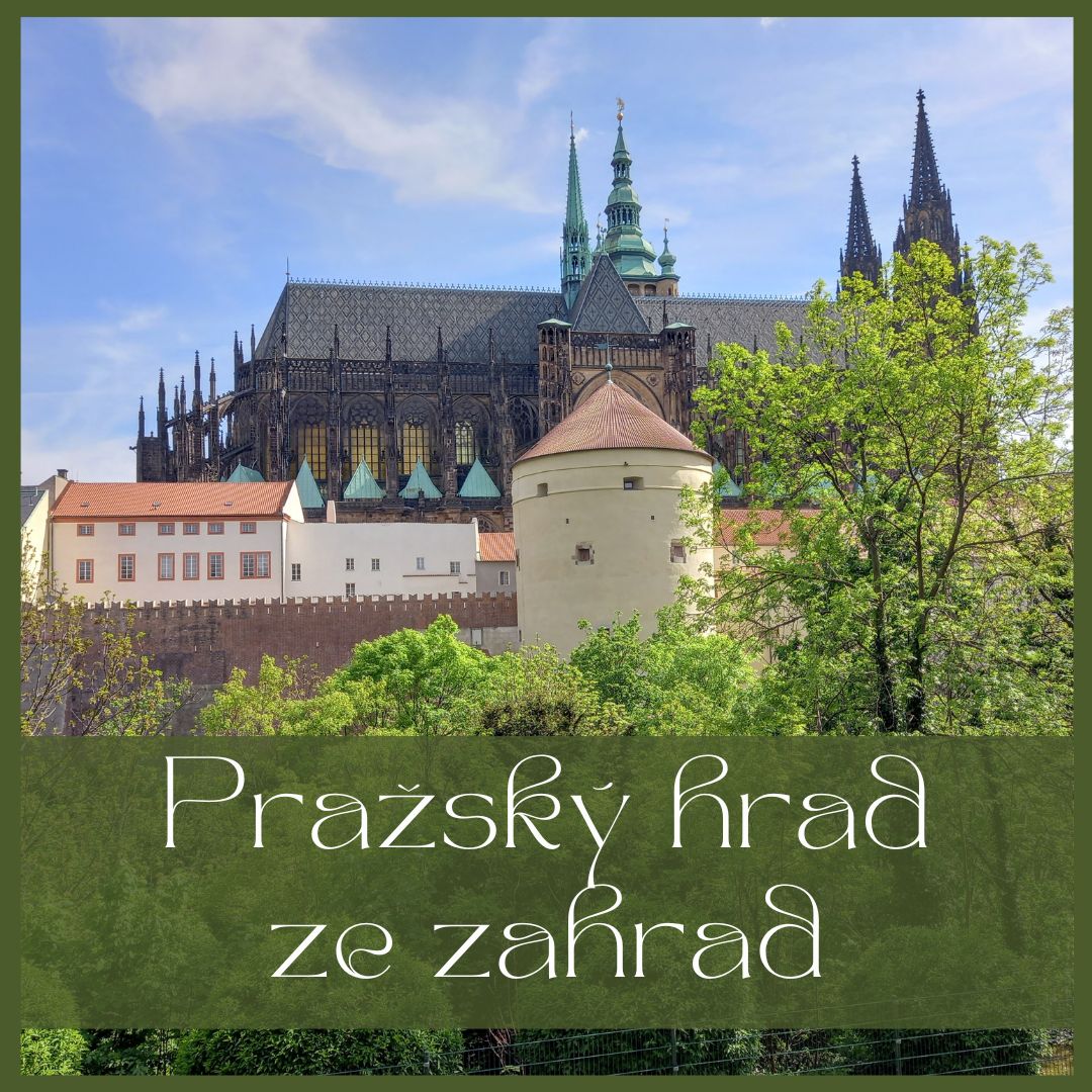 Pražský hrad ze zahrad